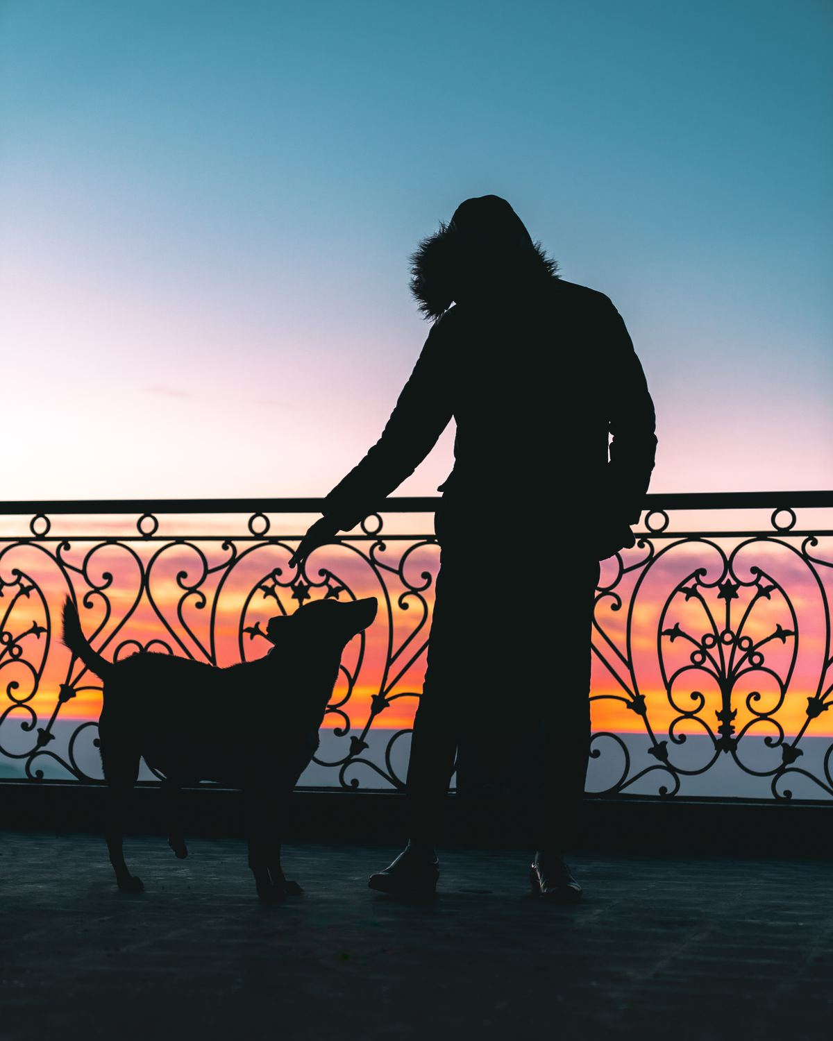Person and dog sharing a quiet moment at sunset