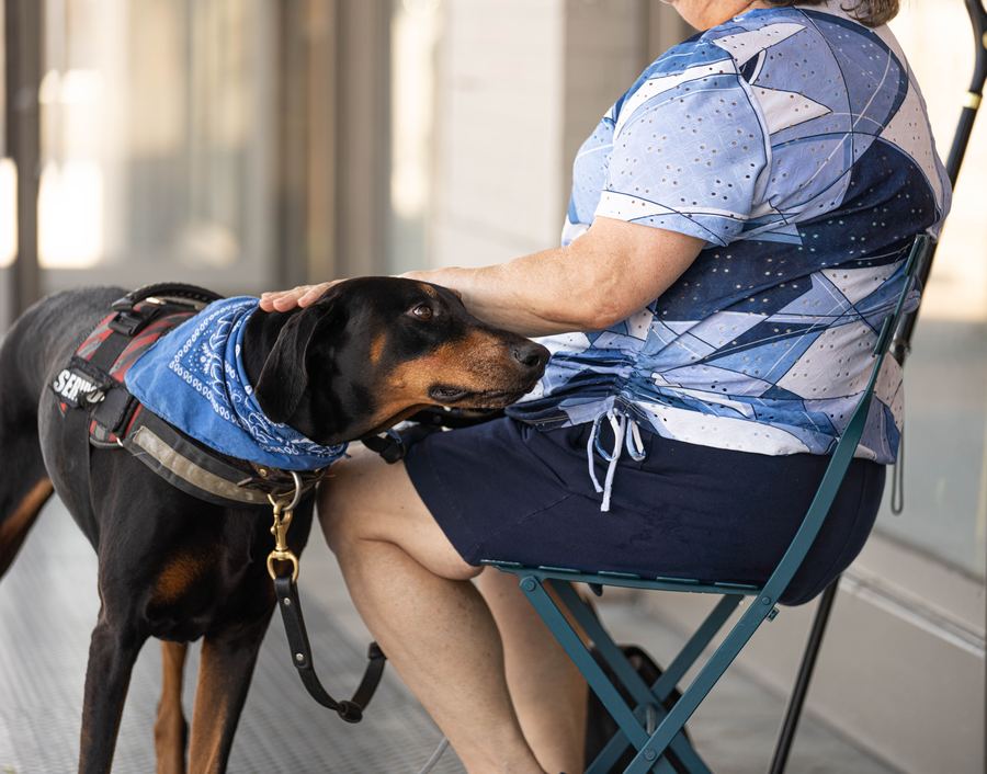 Therapy dog being petted during a visit